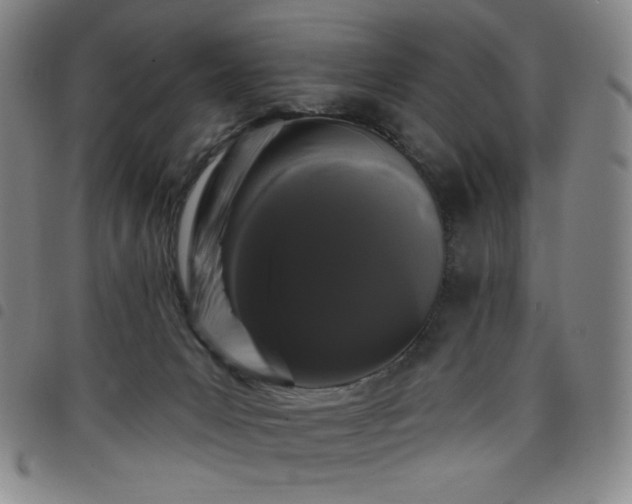 X0000098130031200804241701