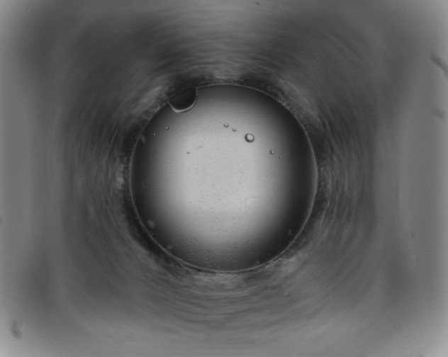 X0000098130032200804241701