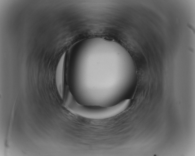 X0000098130033200804241701