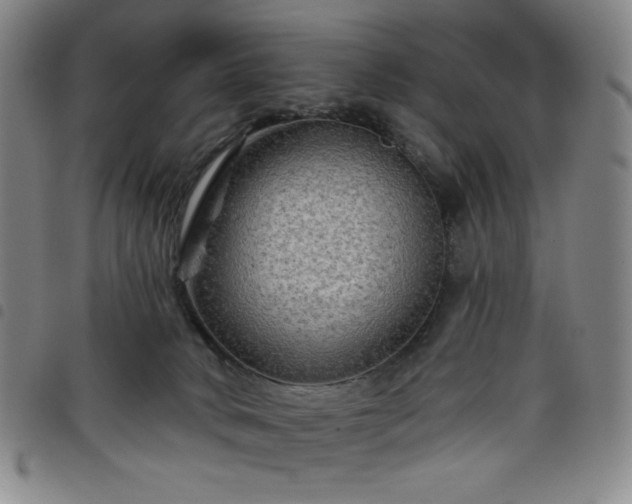 X0000098130034200804241701