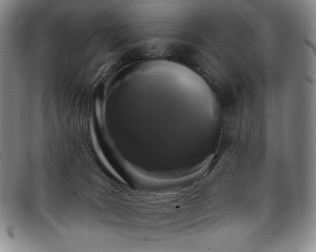 X0000098130035200804241701