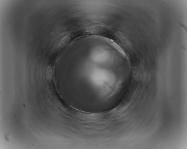 X0000098130036200804241701