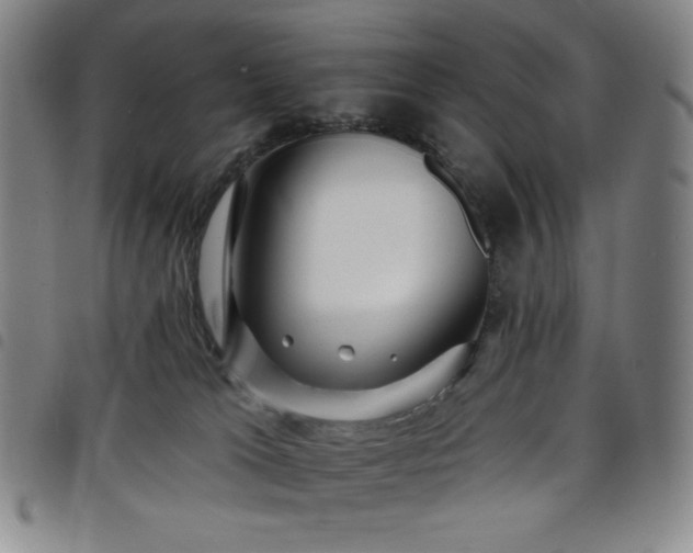 X0000098130037200804241701