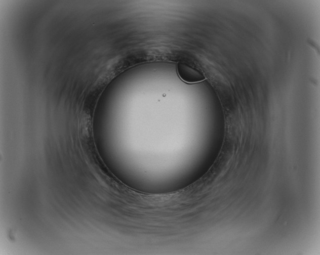 X0000098130038200804241701