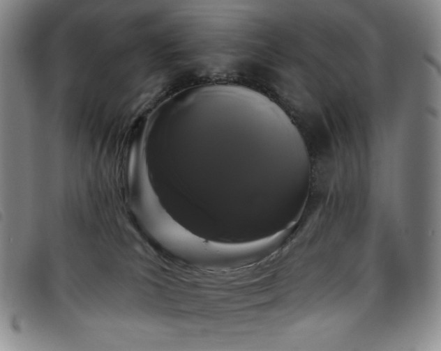 X0000098130039200804241701