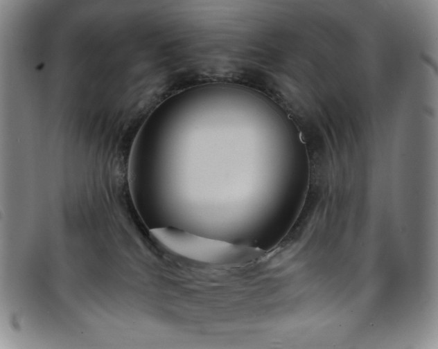 X0000098130040200804241700