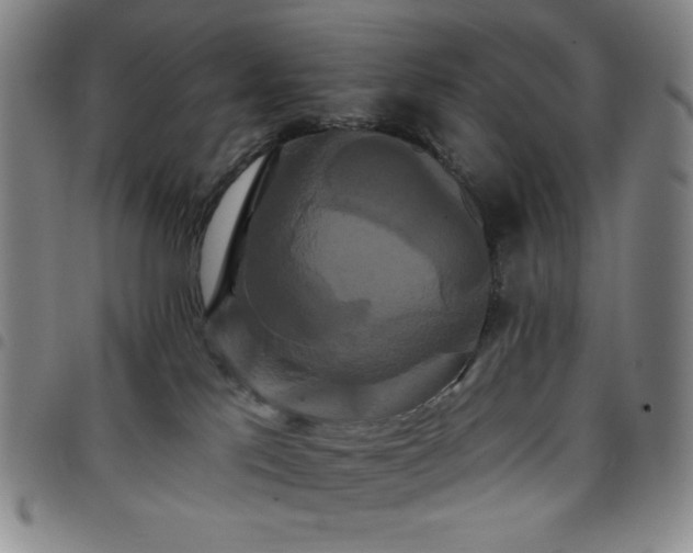 X0000098130041200804241700