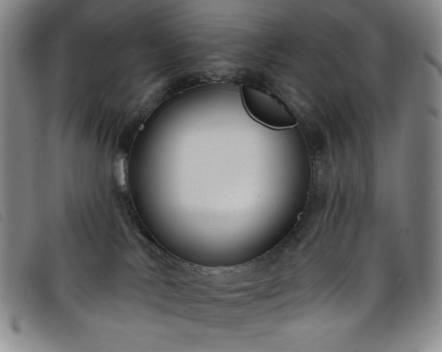 X0000098130042200804241700