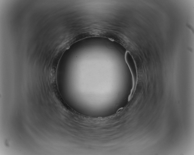 X0000098130043200804241700