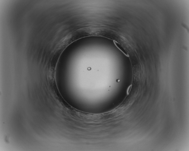 X0000098130044200804241700