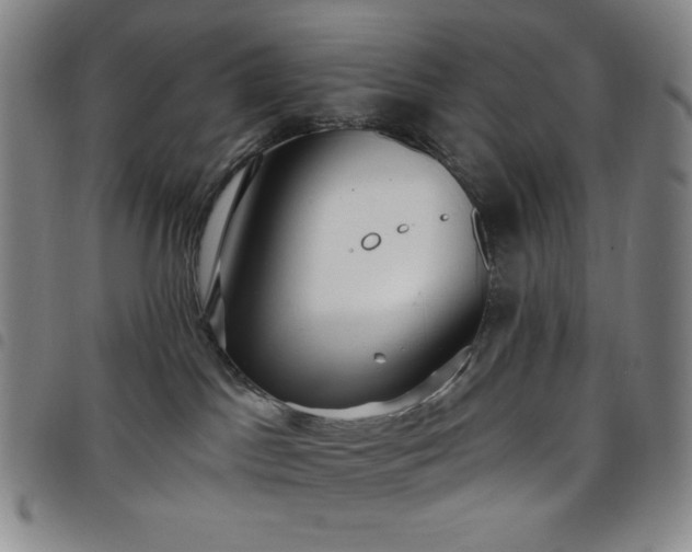 X0000098130045200804241700