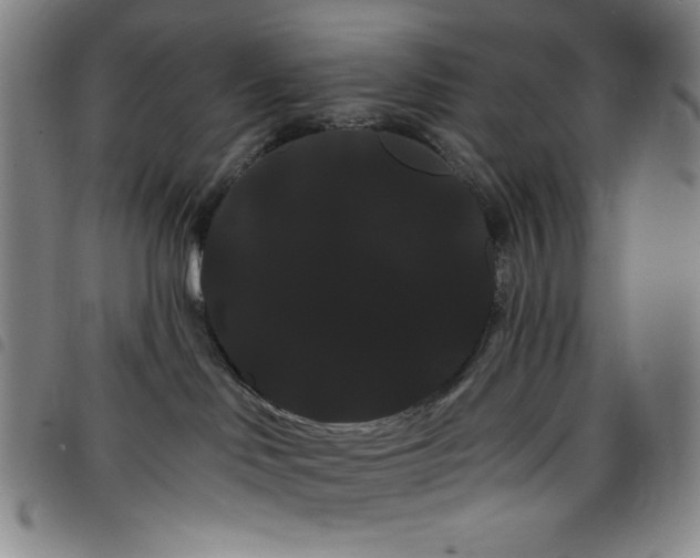 X0000098130046200804241700