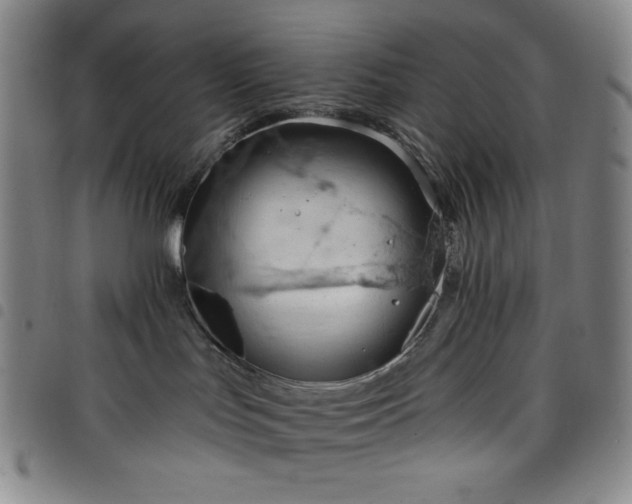 X0000098130047200804241700