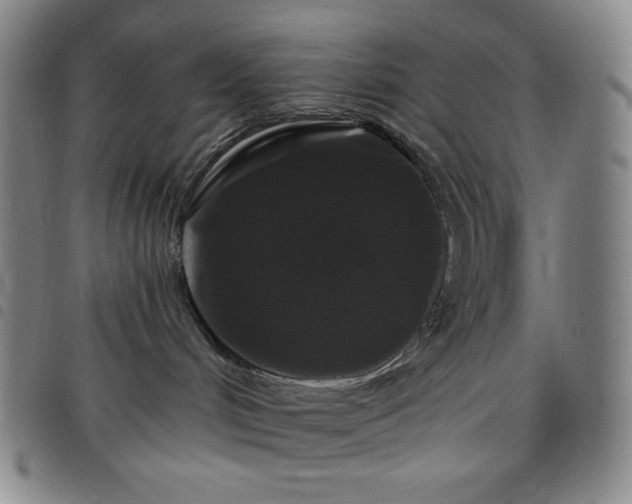 X0000098130048200804241700