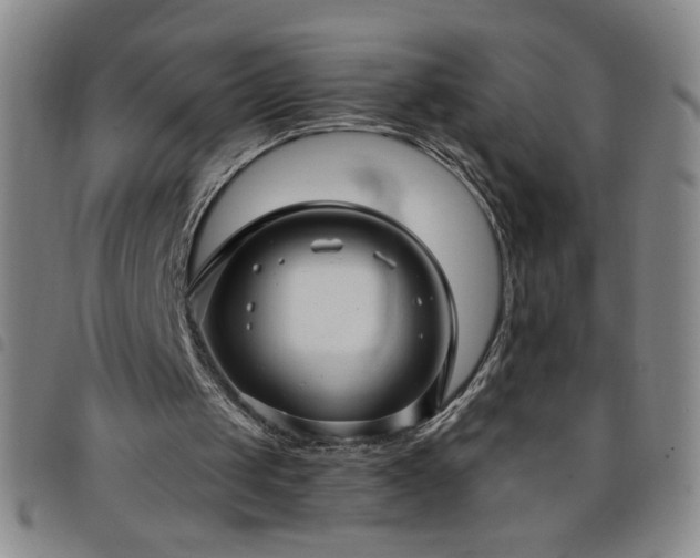 X0000098130049200804241700