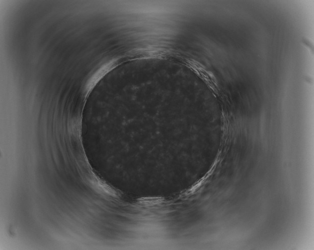 X0000098130051200804241700