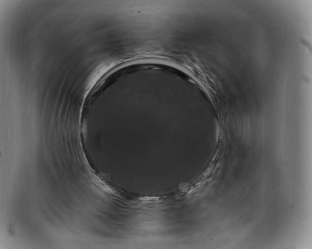 X0000098130052200804241700