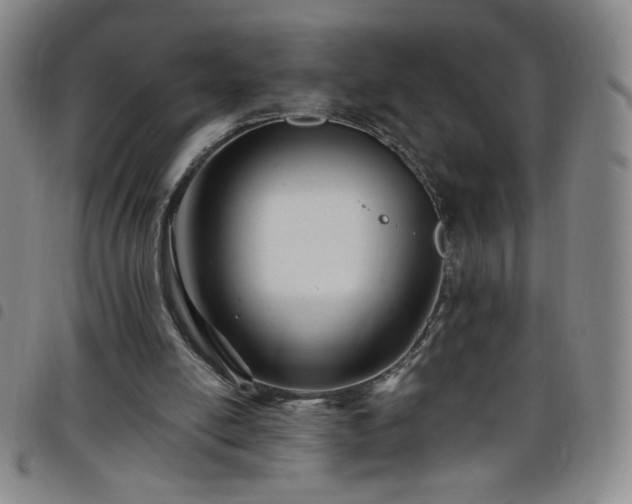 X0000098130054200804241700
