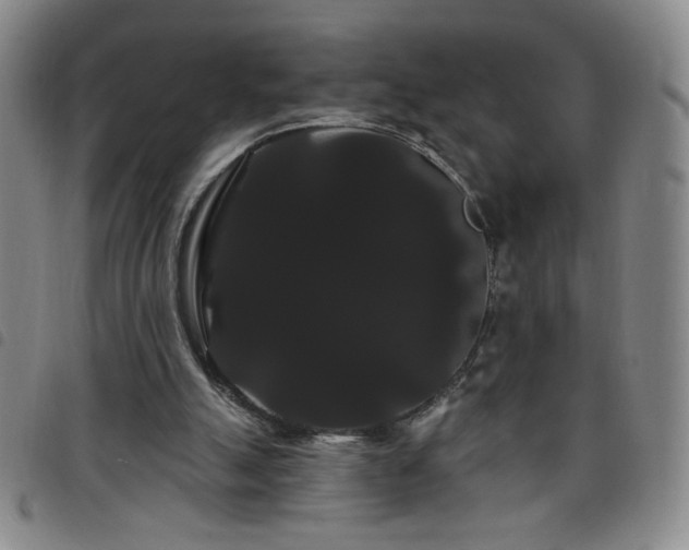 X0000098130055200804241700