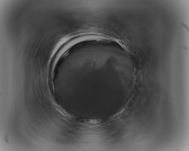 X0000098130056200804241700