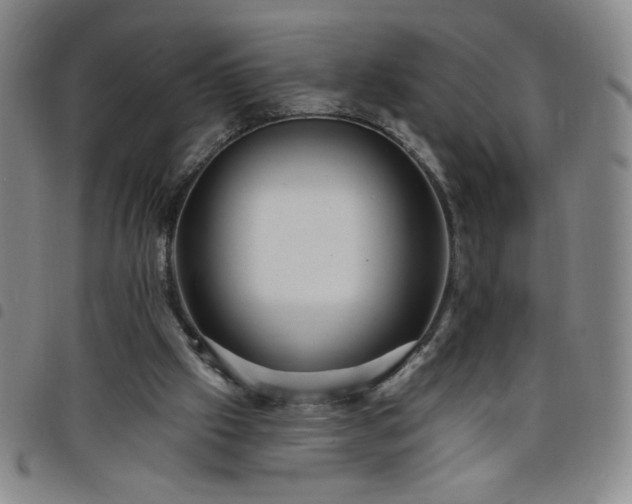 X0000098130057200804241700