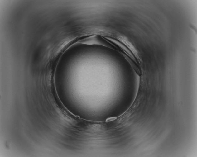 X0000098130058200804241700