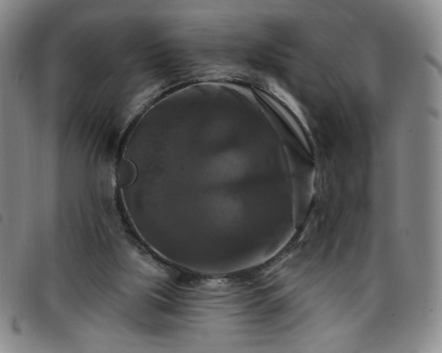 X0000098130059200804241700