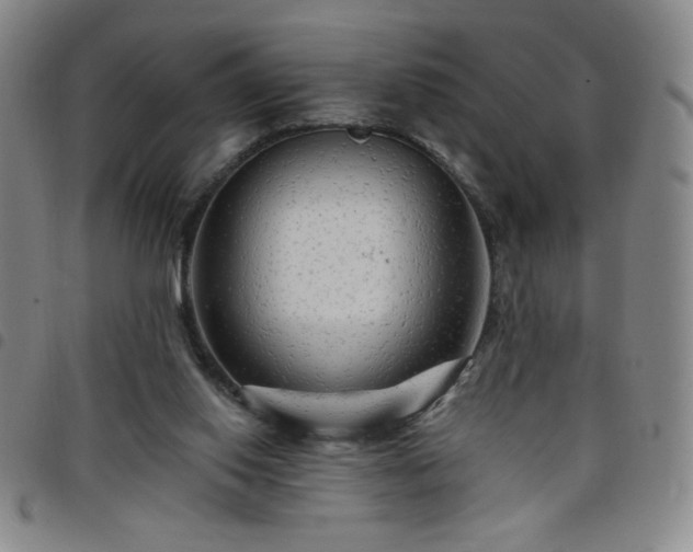 X0000098130062200804241700