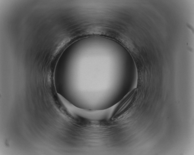 X0000098130064200804241700