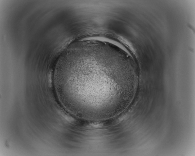 X0000098130065200804241700