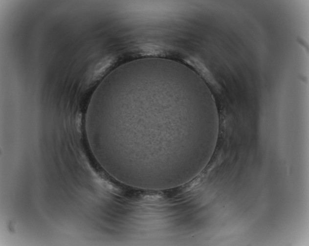 X0000098130066200804241700