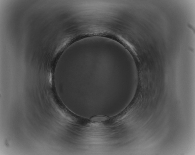 X0000098130067200804241700