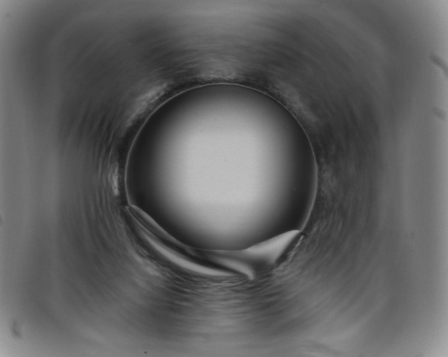 X0000098130068200804241700