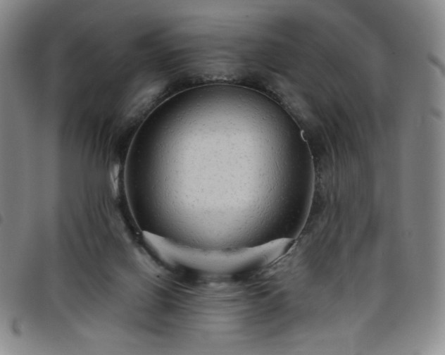 X0000098130070200804241700
