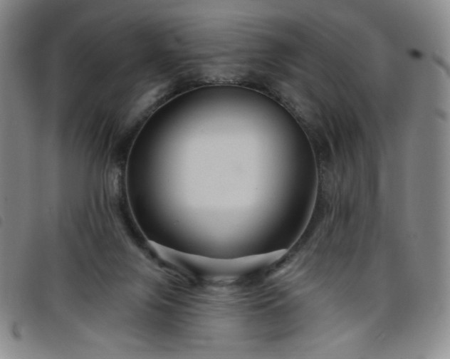 X0000098130071200804241700