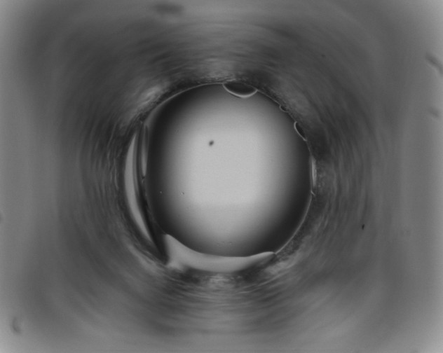 X0000098130072200804241700
