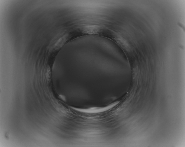 X0000098130073200804241700