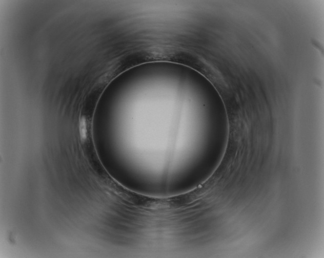 X0000098130075200804241700