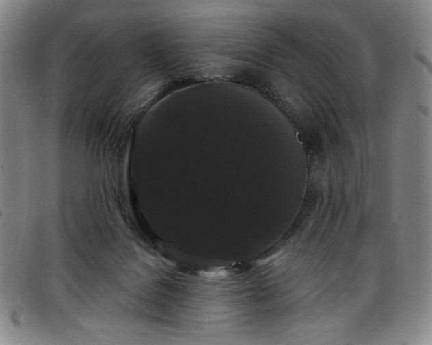 X0000098130076200804241700