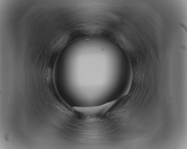 X0000098130077200804241700