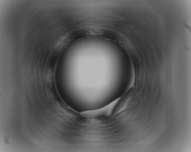 X0000098130078200804241700