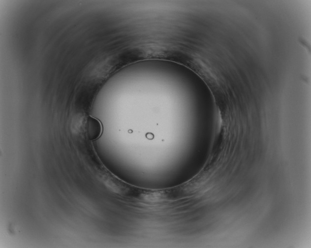 X0000098130079200804241700