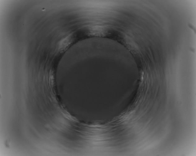 X0000098130080200804241700