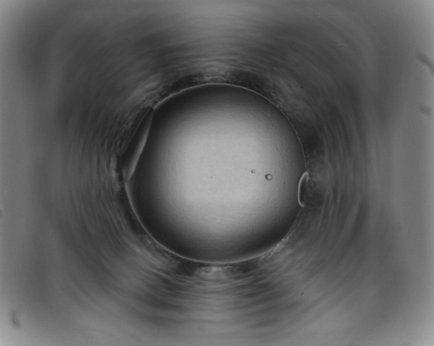 X0000098130082200804241700