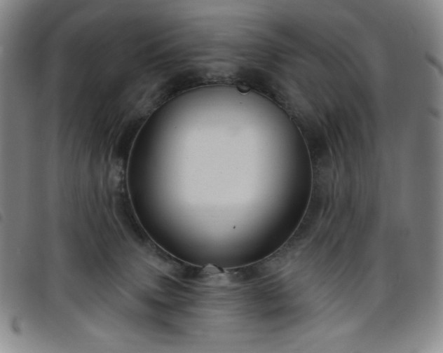 X0000098130083200804241700