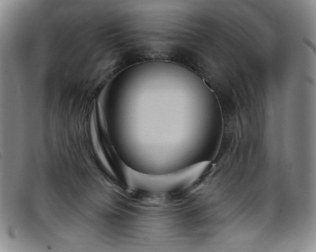 X0000098130084200804241700