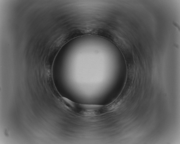 X0000098130085200804241700