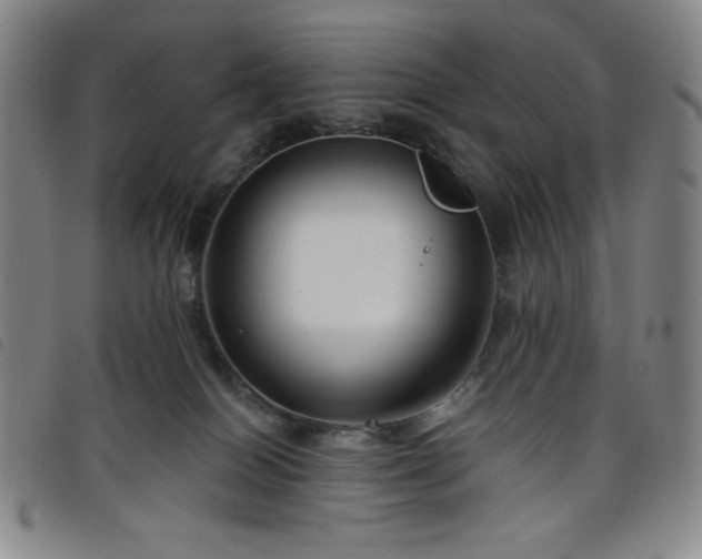 X0000098130086200804241700