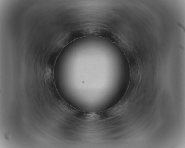 X0000098130087200804241700