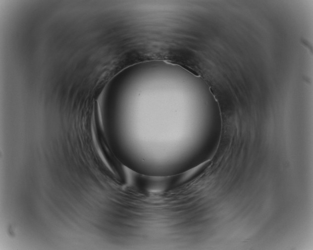 X0000098130088200804241700